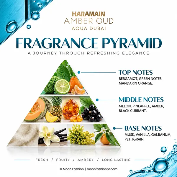 Amber Oud Aqua Dubai fragrance pyramid showing the official top, middle and base notes.