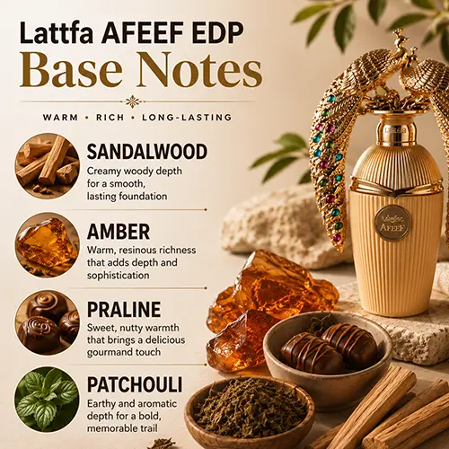 Base note olfactory breakdown of Lattafa Afeef highlighting amber, praline, and patchouli.