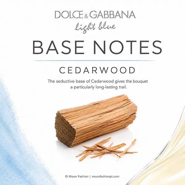 Dolce&Gabbana Light Blue cedarwood base-note graphic with wood and shavings