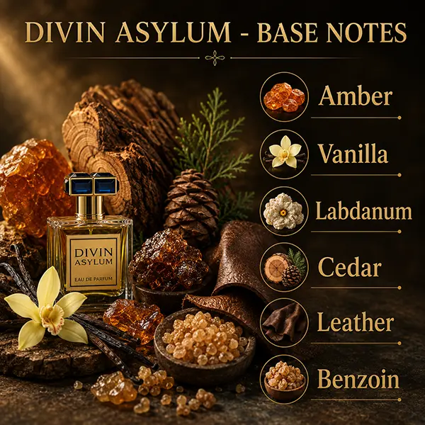 Base notes graphic of French Avenue Divin Asylum with amber, leather, vanilla and benzoin accords.