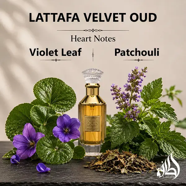Olfactory profile graphic showing the violet leaf and patchouli heart notes of Lattafa Velvet Oud.