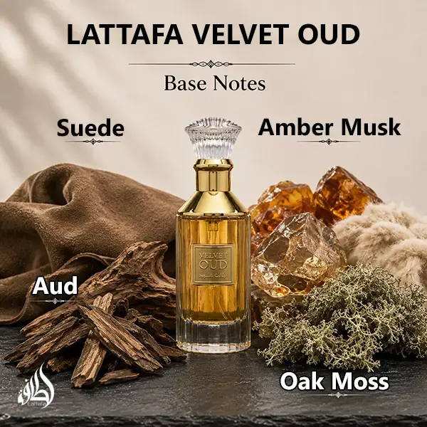 Visual scent composition displaying rich suede, parfum amber oriental, and oak moss base notes.