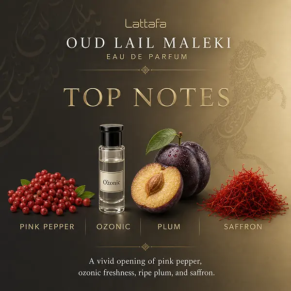 Top notes infographic; pink pepper, ozonic accord, plum, saffron