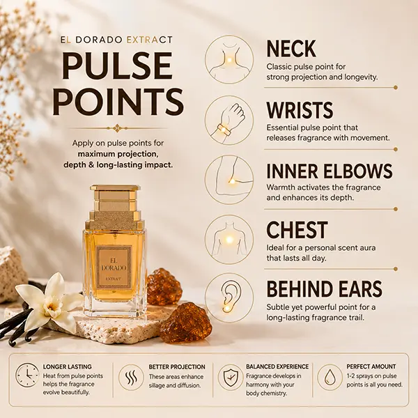 Modern pulse point guide showing where to apply El Dorado extrait de parfum for stronger scent projection.